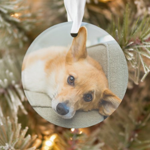 Cutest Baby Animals  Corgi Puppy on Couch Ornament