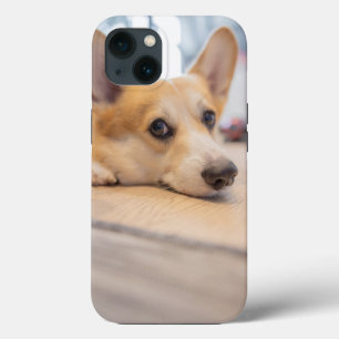 Cutest Baby Animals Corgi Puppy on Floor iPhone 13 Case