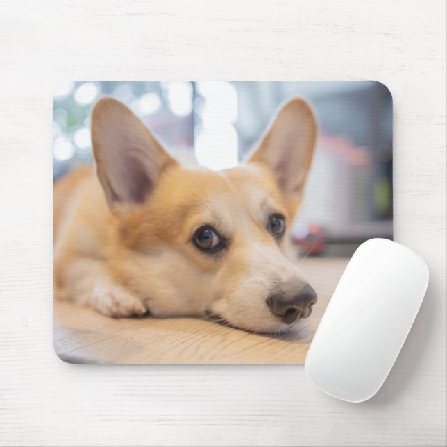 Cutest Baby Animals | Corgi Puppy on Floor Mouse Pad (With Mouse)