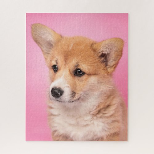 Cutest Baby Animals  Corgi Puppy on Pink Jigsaw Puzzle