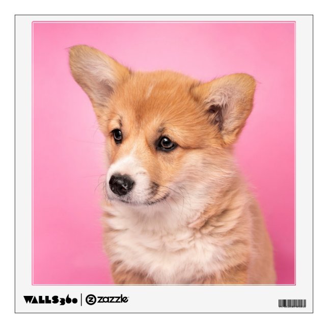 Cutest Baby Animals | Corgi Puppy on Pink Wall Decal (Front)