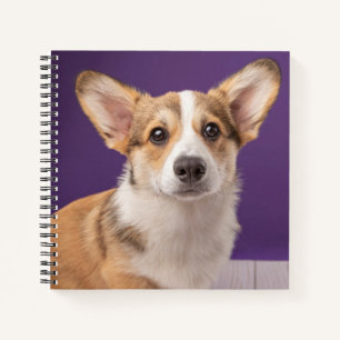 Cutest Baby Animals Corgi Puppy on Purple Notebook