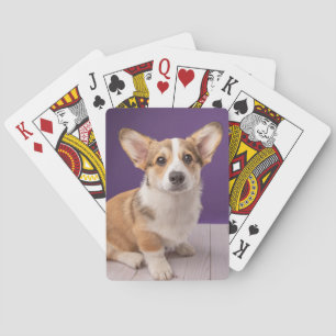 Cutest Baby Animals Corgi Puppy on Purple Poker Cards