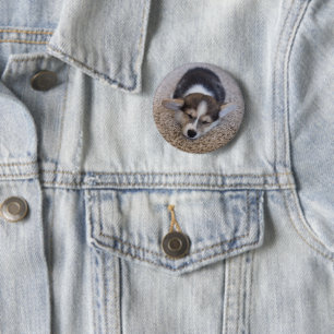 Cutest Baby Animals Corgi Puppy on Shag Rug Button