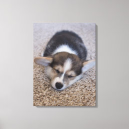 Cutest Baby Animals | Corgi Puppy on Shag Rug Canvas Print