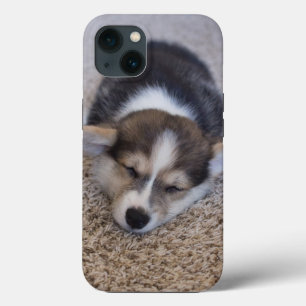 Cutest Baby Animals Corgi Puppy on Shag Rug iPhone 13 Case