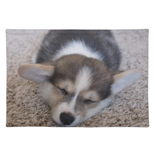 Cutest Baby Animals  Corgi Puppy on Shag Rug Cloth Placemat