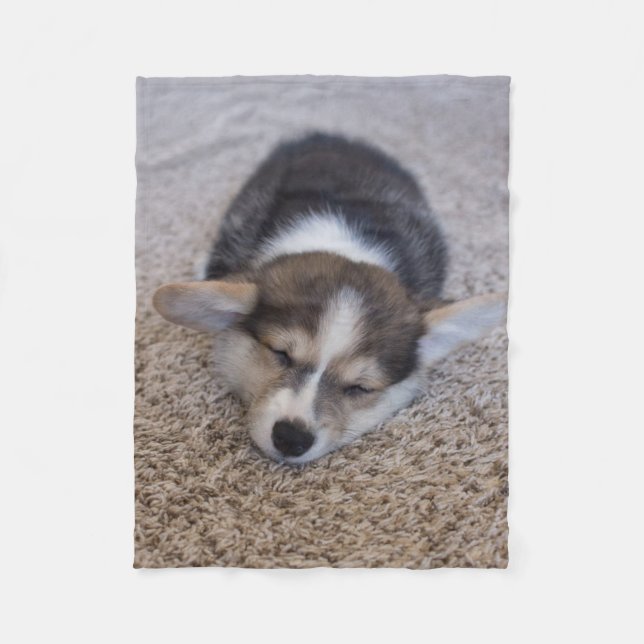 Cutest Baby Animals | Corgi Puppy on Shag Rug Fleece Blanket (Front)