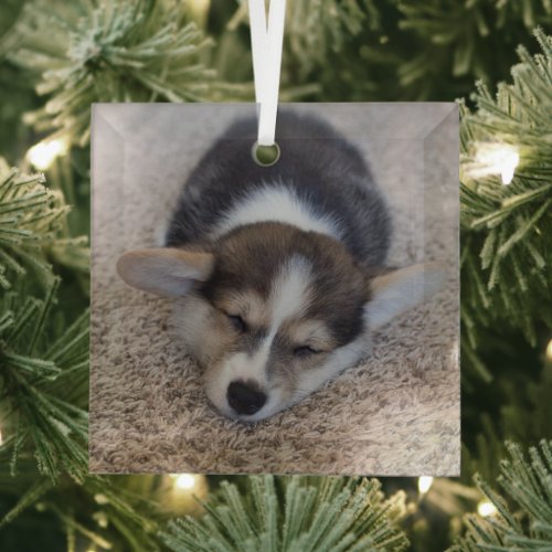 Cutest Baby Animals  Corgi Puppy on Shag Rug Glass Ornament