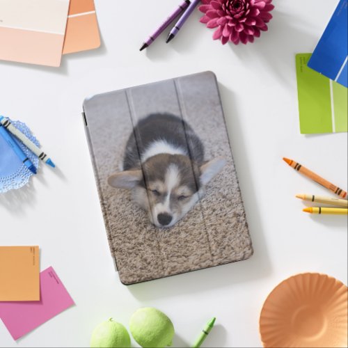 Cutest Baby Animals  Corgi Puppy on Shag Rug iPad Air Cover