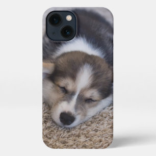 Cutest Baby Animals Corgi Puppy on Shag Rug iPhone 13 Case
