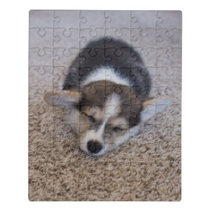 Cutest Baby Animals Corgi Puppy on Shag Rug Jigsaw Puzzle