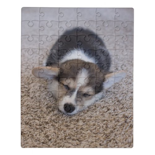 Cutest Baby Animals  Corgi Puppy on Shag Rug Jigsaw Puzzle