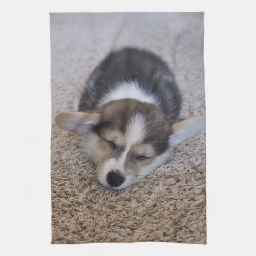 Cutest Baby Animals  Corgi Puppy on Shag Rug Kitchen Towel