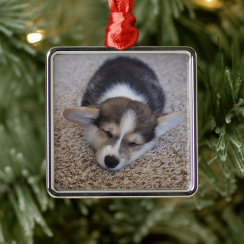 Cutest Baby Animals  Corgi Puppy on Shag Rug Metal Ornament