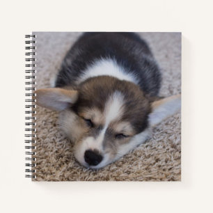 Cutest Baby Animals Corgi Puppy on Shag Rug Notebook