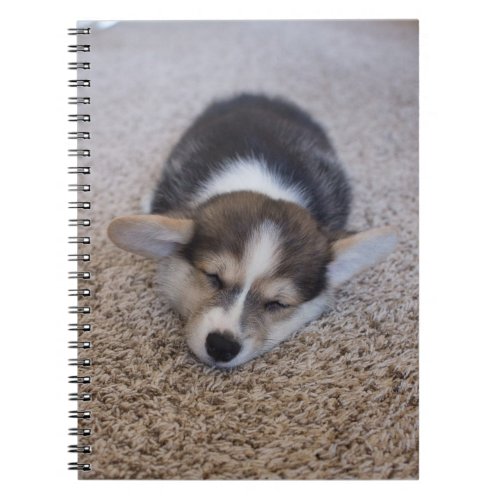 Cutest Baby Animals  Corgi Puppy on Shag Rug Notebook