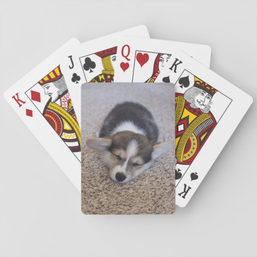 Cutest Baby Animals  Corgi Puppy on Shag Rug Poker Cards