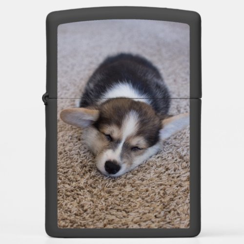 Cutest Baby Animals  Corgi Puppy on Shag Rug Zippo Lighter