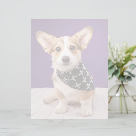 Cutest Baby Animals | Corgi Puppy Skull Bandana (Standing Front)
