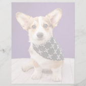 Cutest Baby Animals | Corgi Puppy Skull Bandana (Front)
