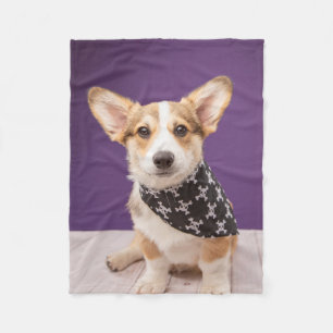 Cutest Baby Animals Corgi Puppy Skull Bandana Fleece Blanket