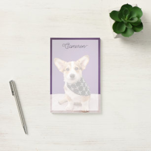 Cutest Baby Animals Corgi Puppy Skull Bandana Post-it Notes