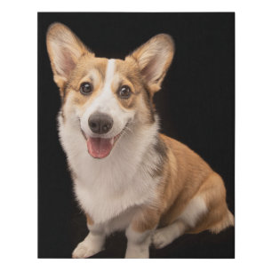 Cutest Baby Animals Corgi Puppy Smile Faux Canvas Print