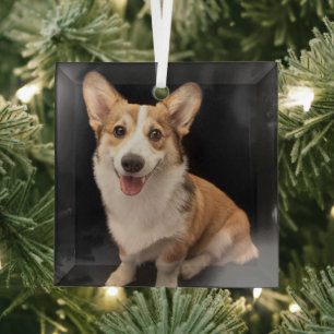 Cutest Baby Animals   Corgi Puppy Smile Glass Ornament