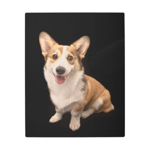 Cutest Baby Animals Corgi Puppy Smile Metal Print