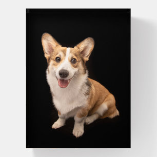 Cutest Baby Animals Corgi Puppy Smile Paperweight