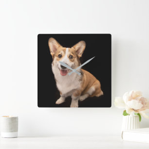 Cutest Baby Animals Corgi Puppy Smile Square Wall Clock