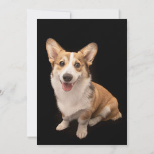 Cutest Baby Animals Corgi Puppy Smile Thank You Card