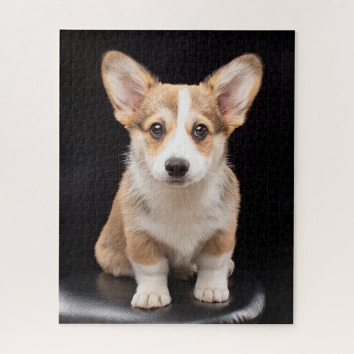 Cutest Baby Animals  Corgi Puppy Standing Tall Jigsaw Puzzle