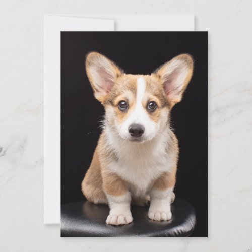 Cutest Baby Animals  Corgi Puppy Standing Tall Thank You Card
