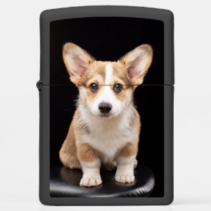 Cutest Baby Animals Corgi Puppy Standing Tall Zippo Lighter