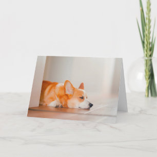 Cutest Baby Animals Corgi Sleeping Card