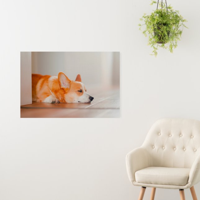 Cutest Baby Animals | Corgi Sleeping Foam Board (In Situ (Wall))