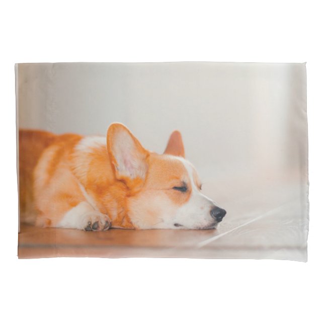 Cutest Baby Animals | Corgi Sleeping Pillow Case (Front)