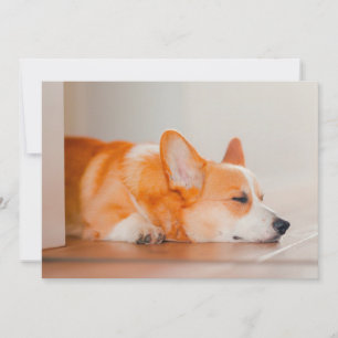 Cutest Baby Animals Corgi Sleeping Thank You Card