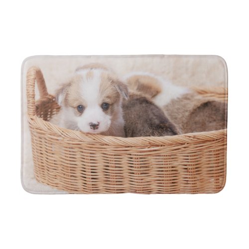 Cutest Baby Animals  Corgi Tiny Puppy Bath Mat