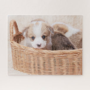 Cutest Baby Animals Corgi Tiny Puppy Jigsaw Puzzle
