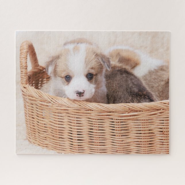 Cutest Baby Animals | Corgi Tiny Puppy Jigsaw Puzzle (Horizontal)