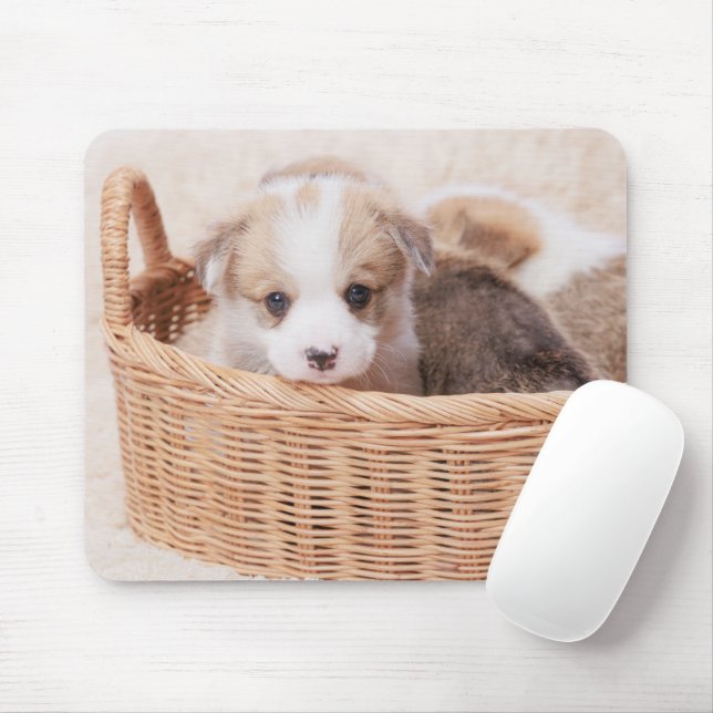 Cutest Baby Animals | Corgi Tiny Puppy Mouse Pad (With Mouse)