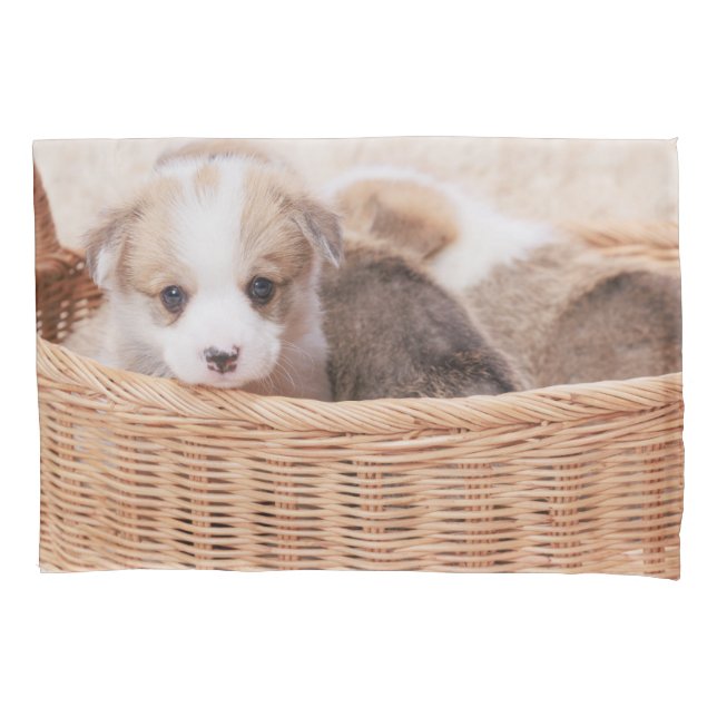 Cutest Baby Animals | Corgi Tiny Puppy Pillow Case (Front)