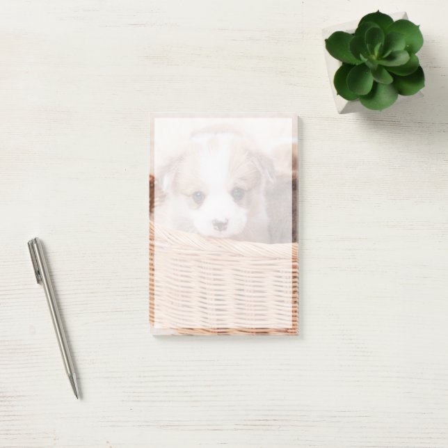 Cutest Baby Animals | Corgi Tiny Puppy Post-it Notes (Office)