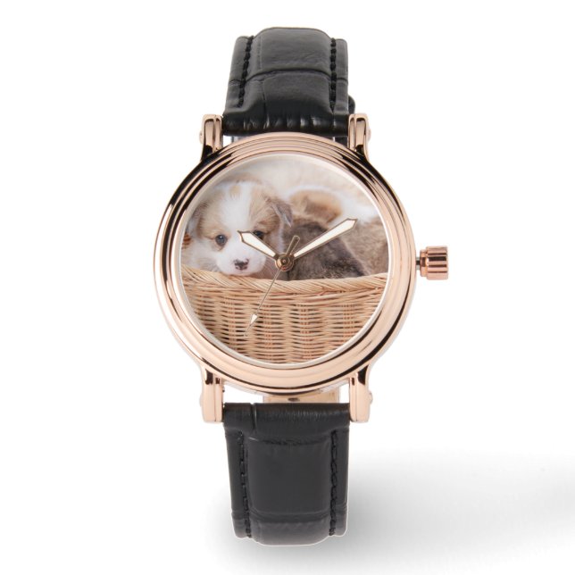 Cutest Baby Animals | Corgi Tiny Puppy Watch (Front)