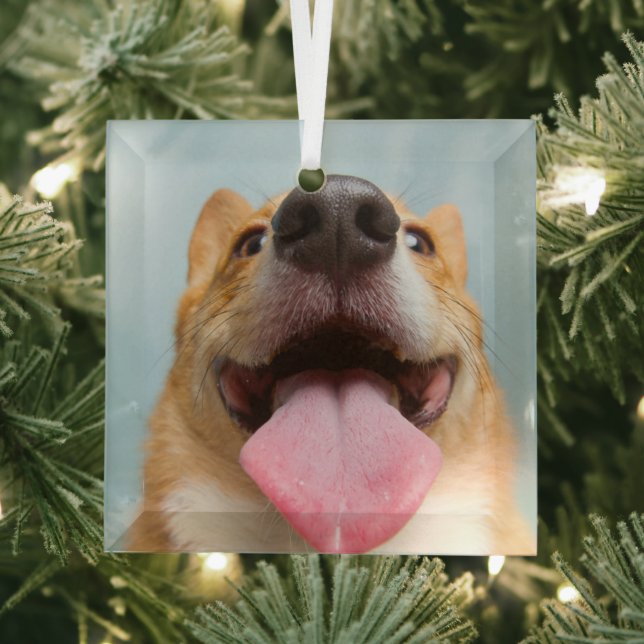 Cutest Baby Animals | Corgi Tongue Glass Ornament (Insitu)