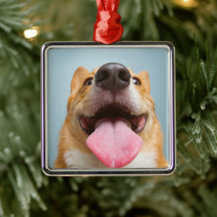 Cutest Baby Animals   Corgi Tongue Metal Ornament
