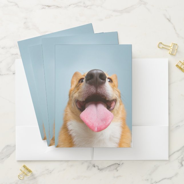 Cutest Baby Animals | Corgi Tongue Pocket Folder (In Situ)